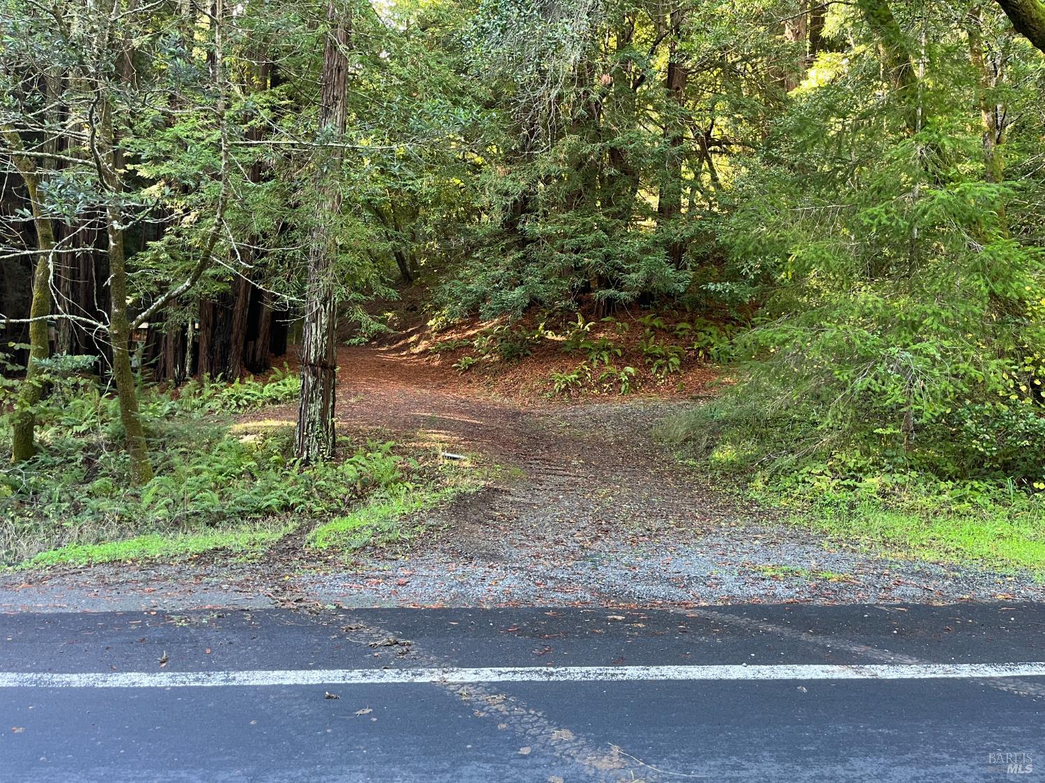 1355 Nicasio Valley Road Nicasio, CA 94946 - Photo 25 of 33 a backyard of a house with a yard and potted plants