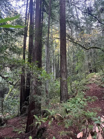 $1,250,000 | 1355 Nicasio Valley Road, Nicasio, CA 94946