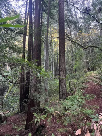 $1,250,000 | 1355 Nicasio Valley Road, Nicasio, CA 94946