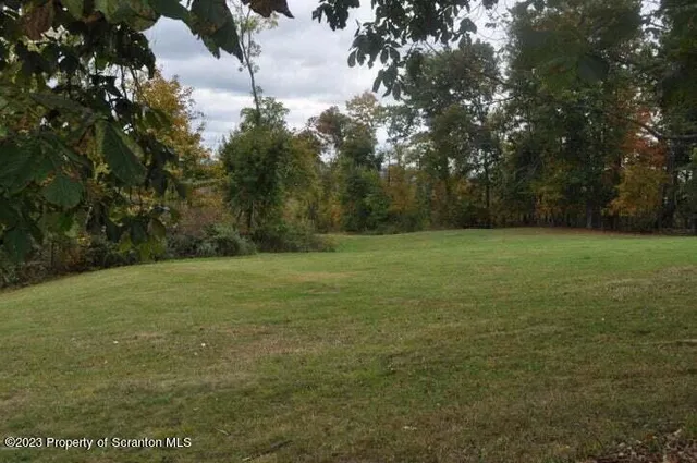 a view of a field with trees in background