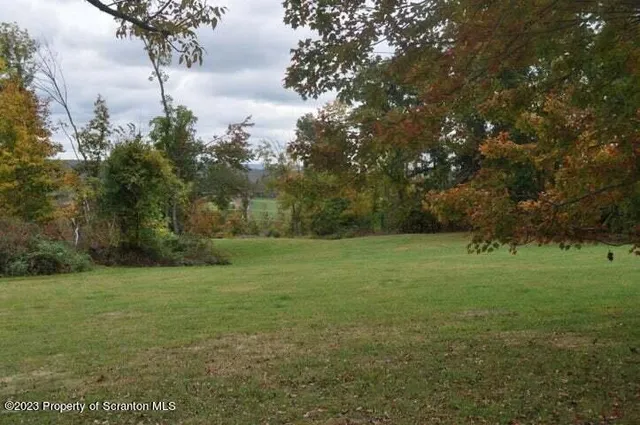 a view of a field with trees