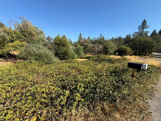 a view of a lake with houses