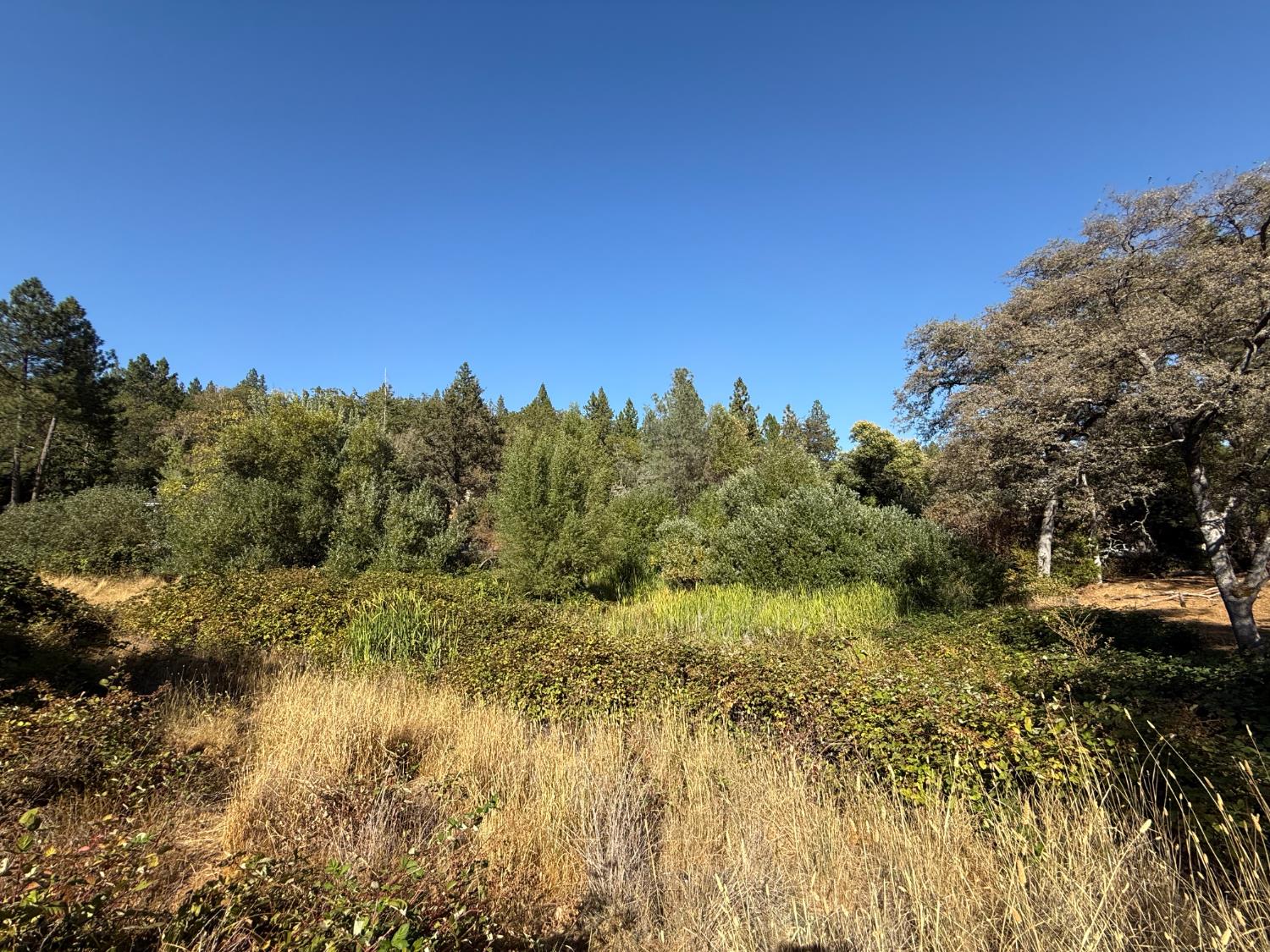 17898 Alexandra Way Grass Valley, CA 95949 - Photo 11 of 23 a view of a lake with a tree in the background