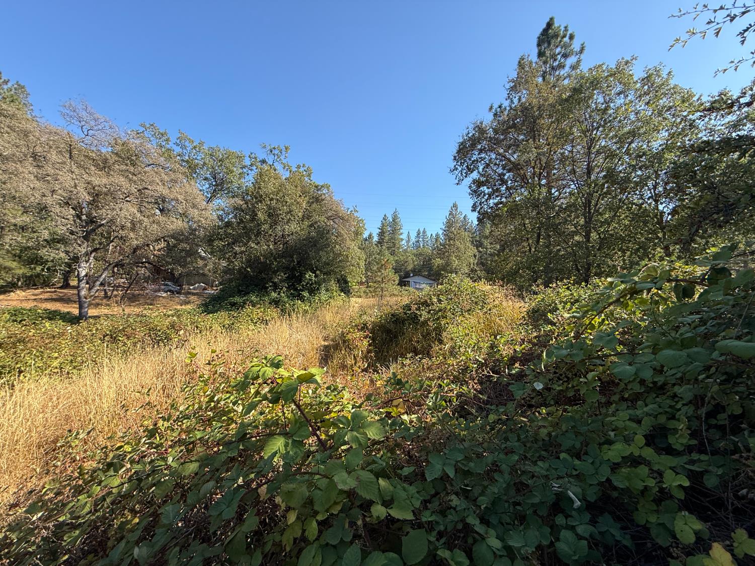 17898 Alexandra Way Grass Valley, CA 95949 - Photo 14 of 23