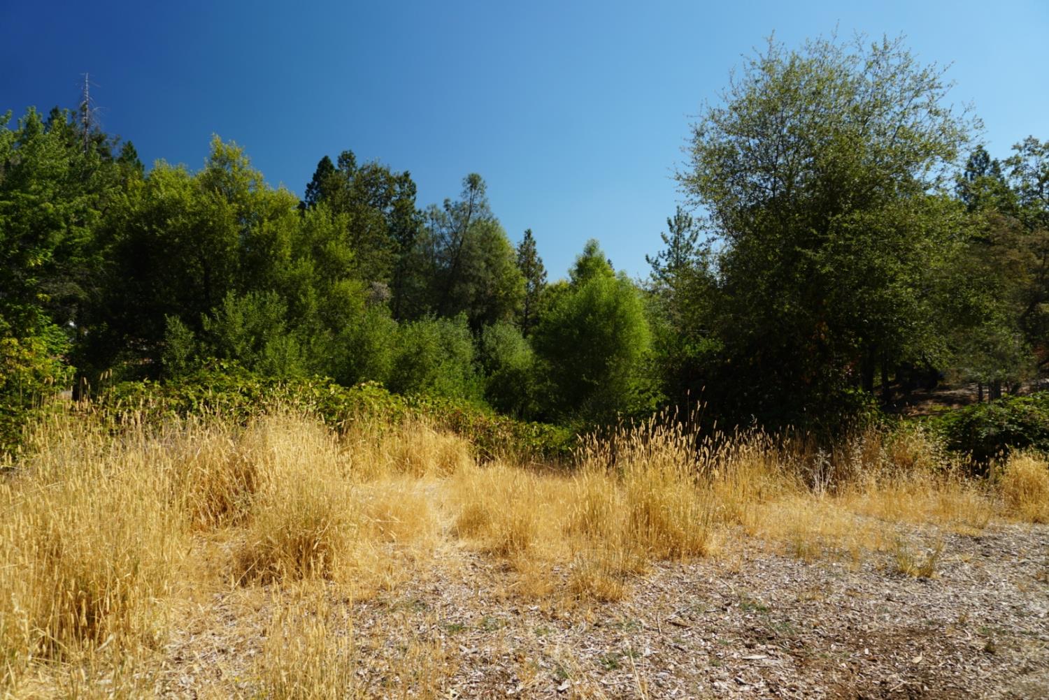 17898 Alexandra Way Grass Valley, CA 95949 - Photo 19 of 23 a view of a yard