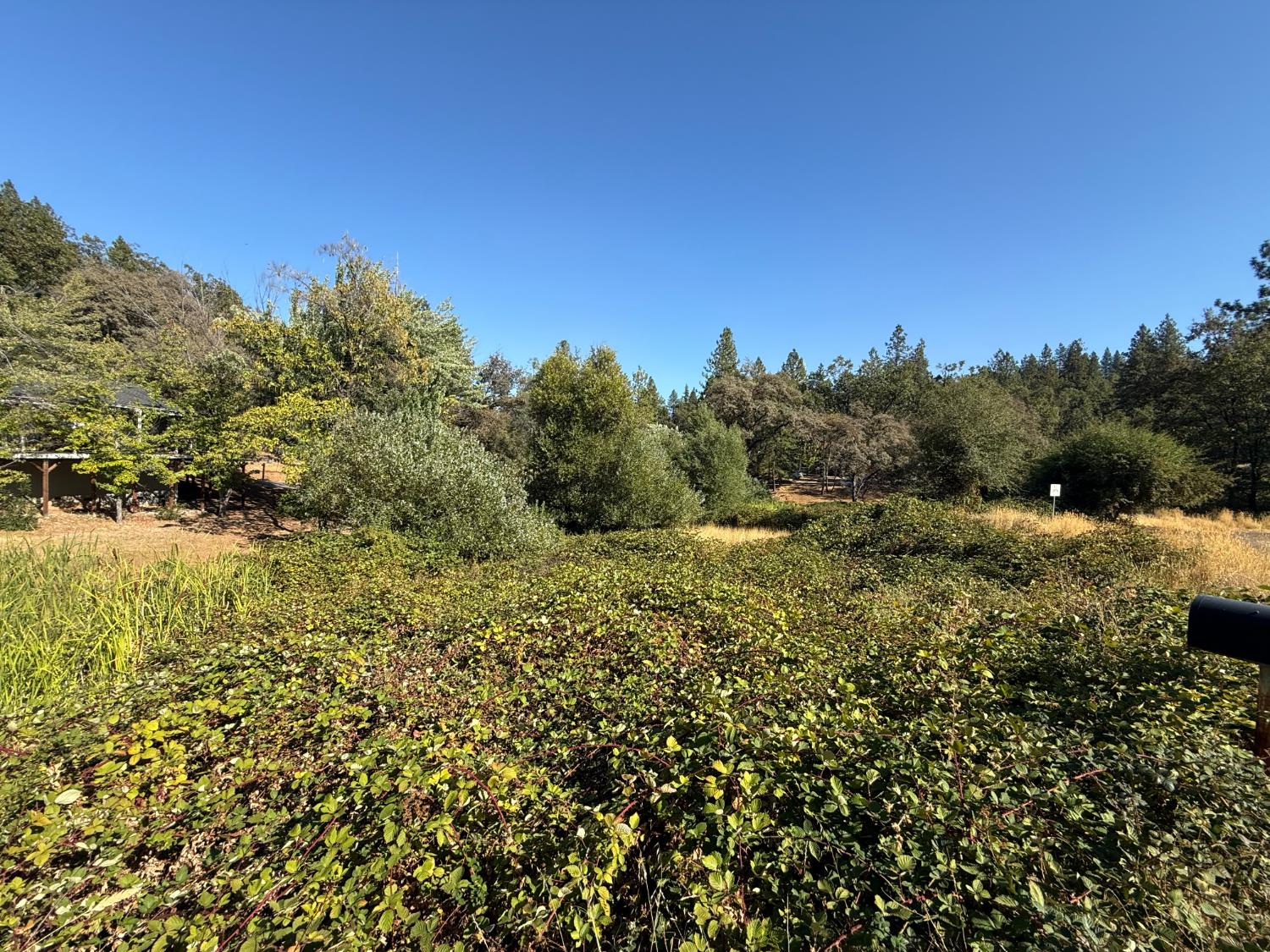 17898 Alexandra Way Grass Valley, CA 95949 - Photo 2 of 23 a view of a field with a tree