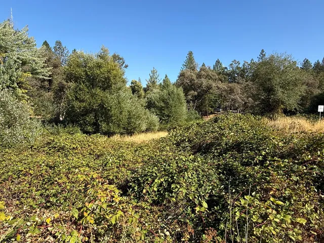 a view of a yard from a balcony