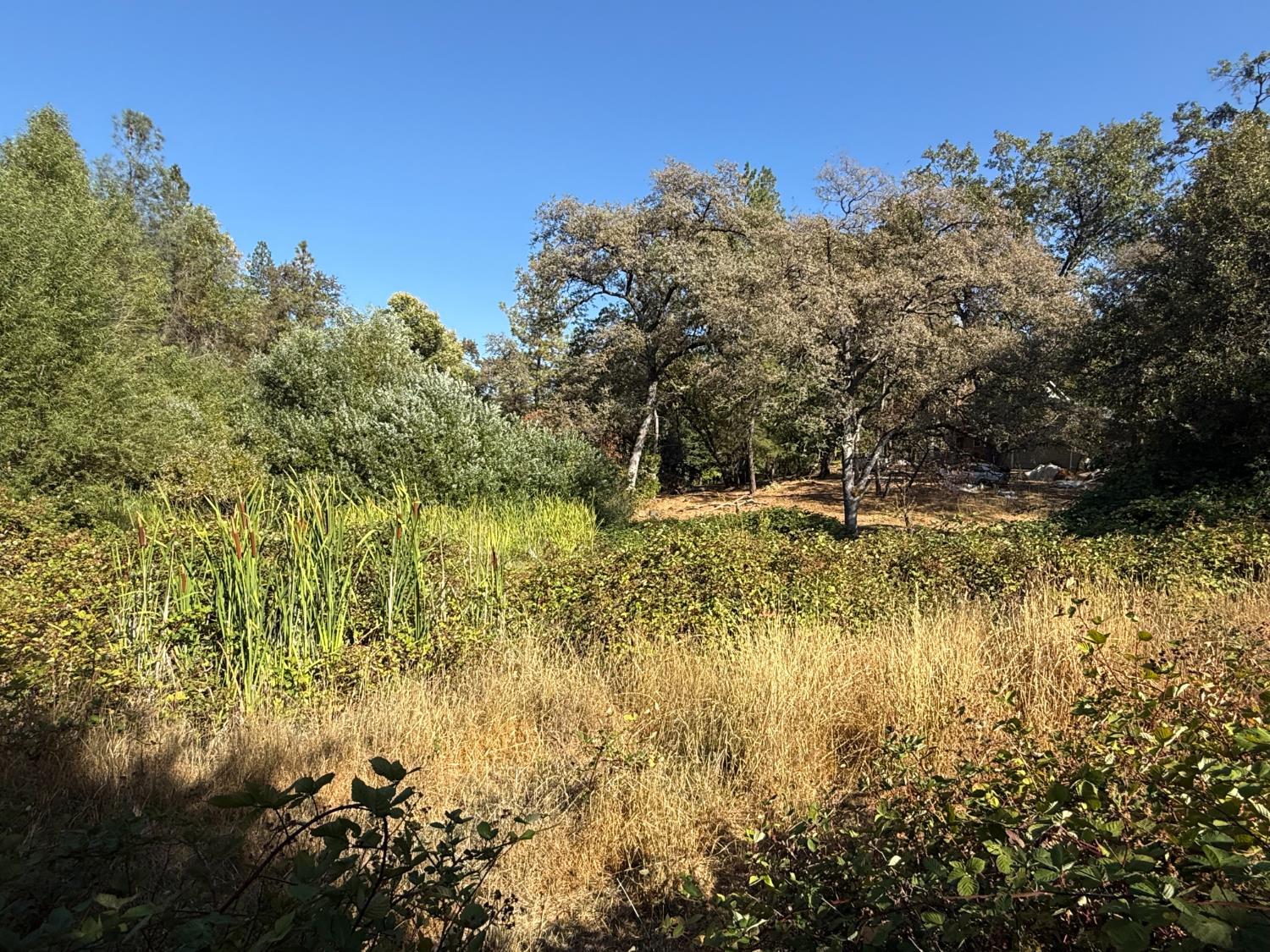 17898 Alexandra Way Grass Valley, CA 95949 - Photo 6 of 23 a view of lake with green space