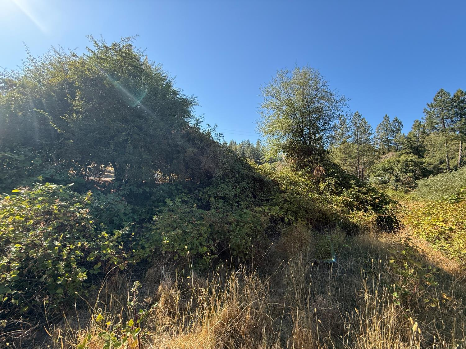 17898 Alexandra Way Grass Valley, CA 95949 - Photo 10 of 23