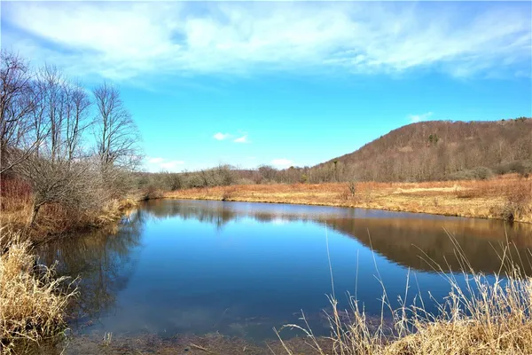 $99,900 | 5306 Highway 16, Ischua, NY 14743