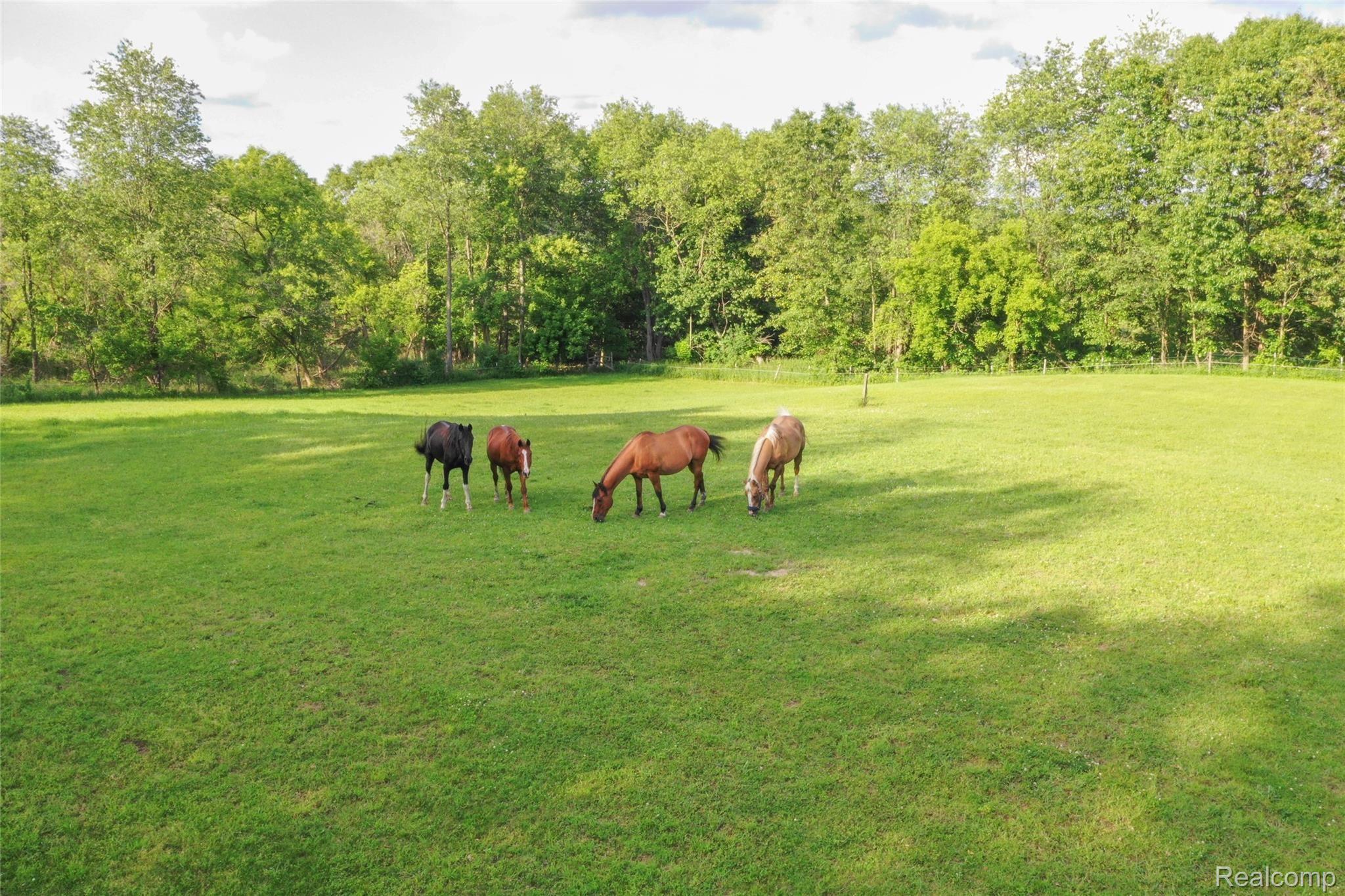 650 Munger Road Holly, MI 48442 - Photo 4 of 47 drone-12.JPG