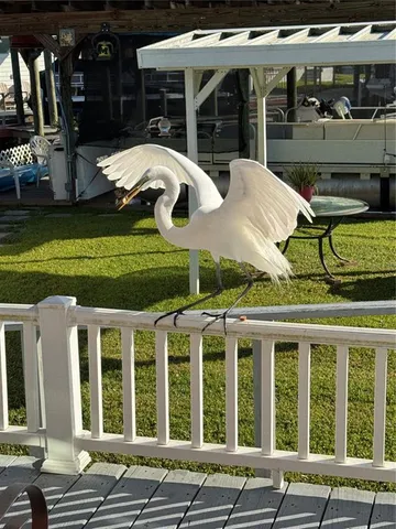 a view of outdoor space with deck and yard