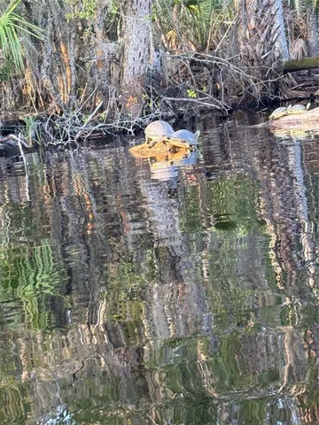 a close view of door lock