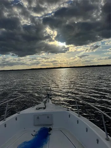 a view of a dry yard