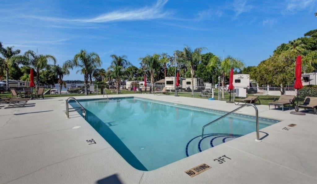 1074 Front Street, Unit 51 Welaka, FL 32193 - Photo 5 of 27 a view of swimming pool with outdoor seating and trees in the background