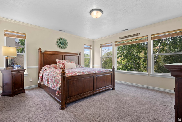 288 South Hillside Drive Elk Ridge, UT 84651 - Photo 10 of 27 Carpeted bedroom featuring ornamental molding and a textured ceiling