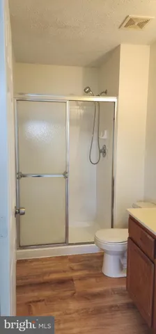 a bathroom with a shower and a toilet