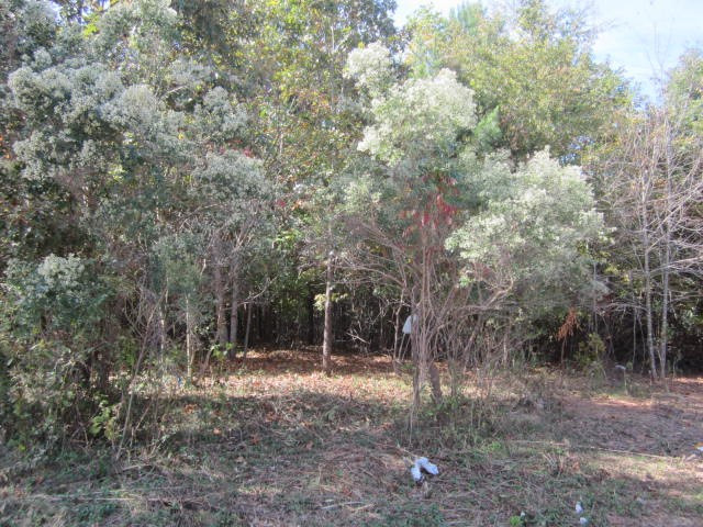 3360 Tungsten Mine Road Bullock, NC 27507 - Photo 8 of 20 Photo 8