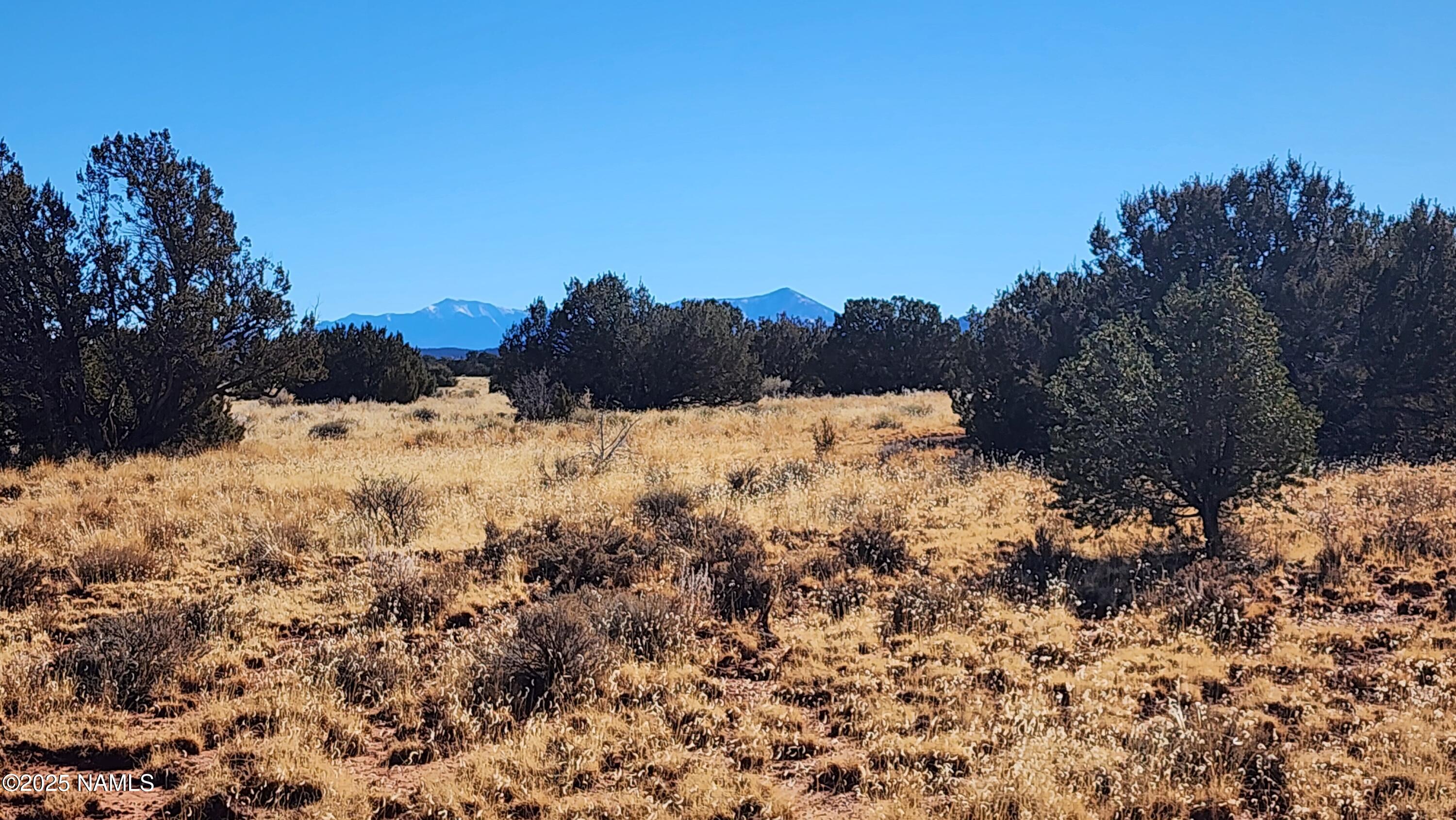 3372 East Valencia Road Williams, AZ 86046 - Photo 2 of 34 1000023818