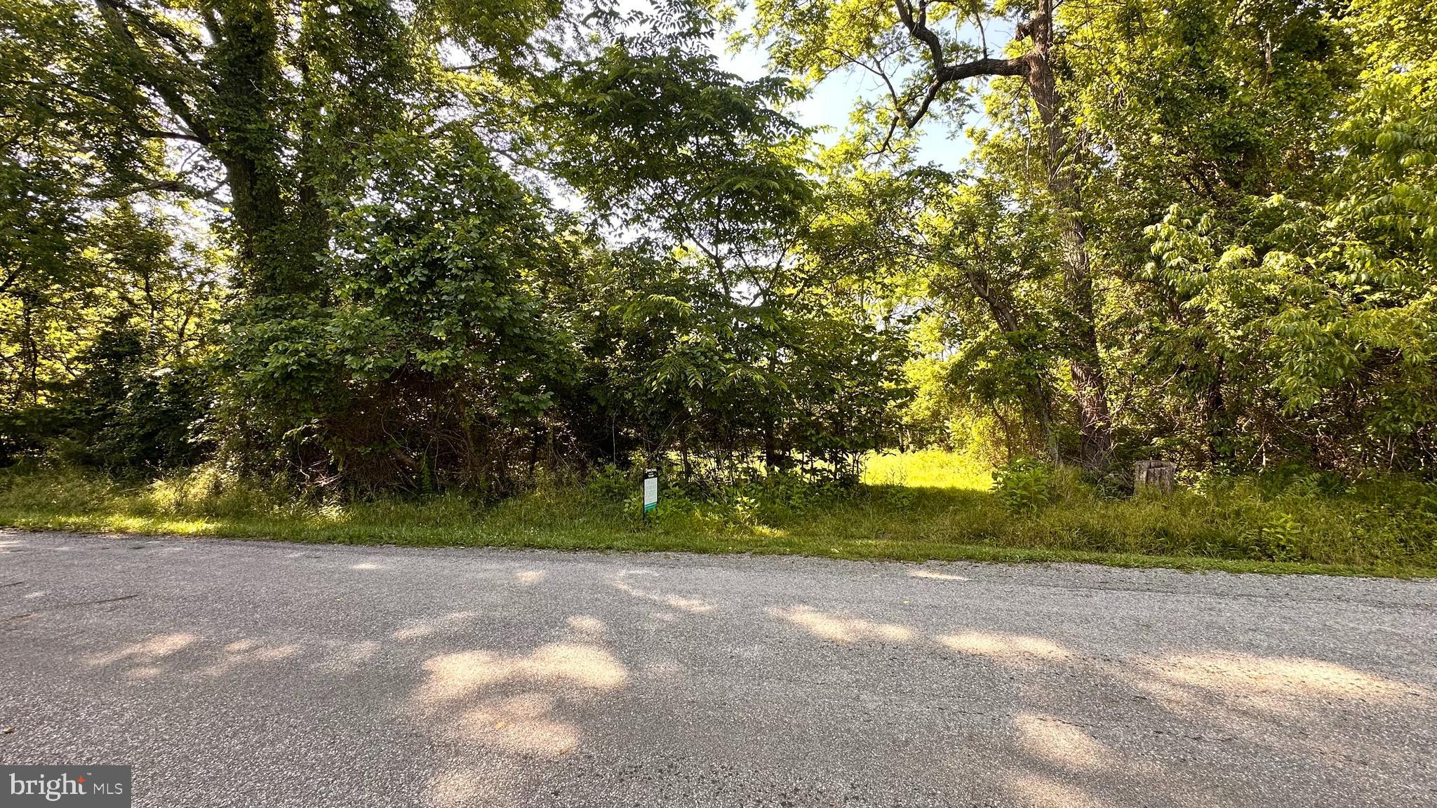 Goggin Ford Road Bedford, VA 24523 - Photo 14 of 20