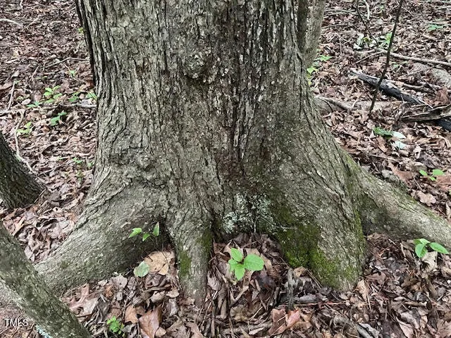 $175,000 | 2450 Maeve Lane, Durham, NC 27705