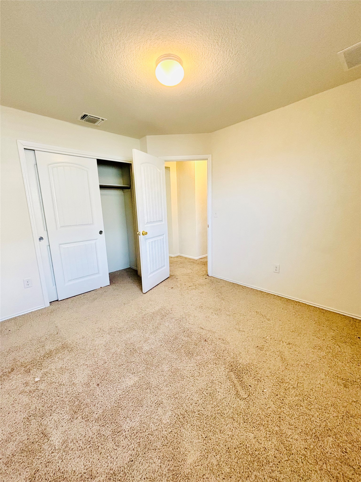 15125 Harkness Pass Austin, TX 78725 - Photo 7 of 23 an empty room with closet and mirror