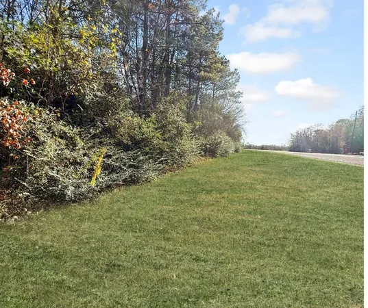 a view of yard with green space