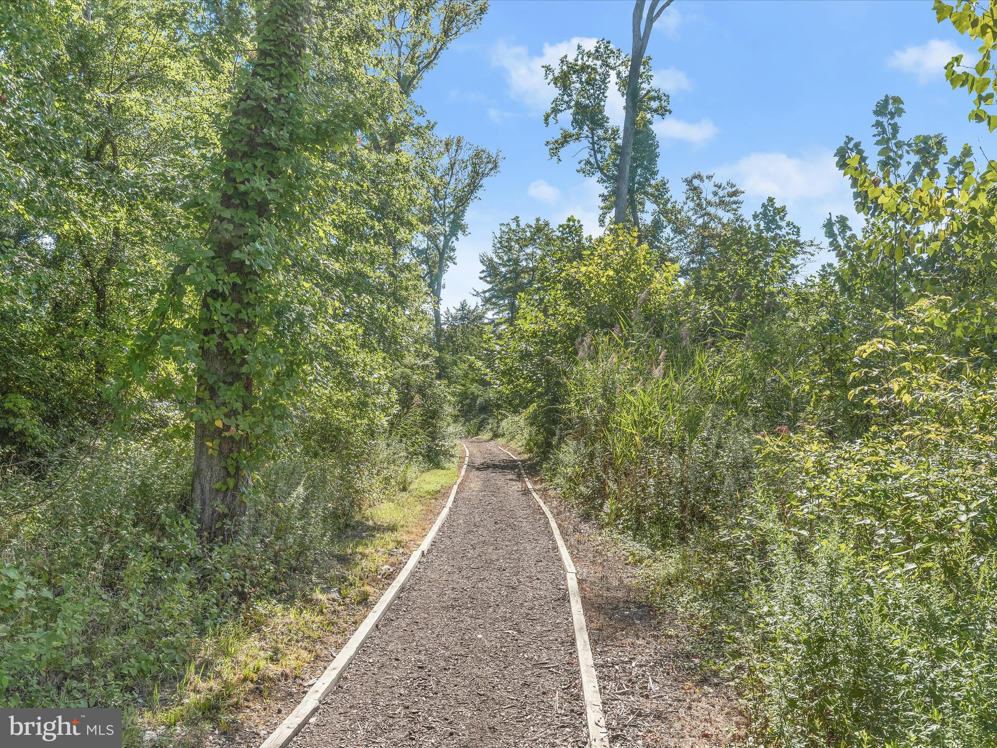 3058 Shaws Road Sparrows Point, MD 21219 - Photo 60 of 81 Shaw's Discovery Walking Trail