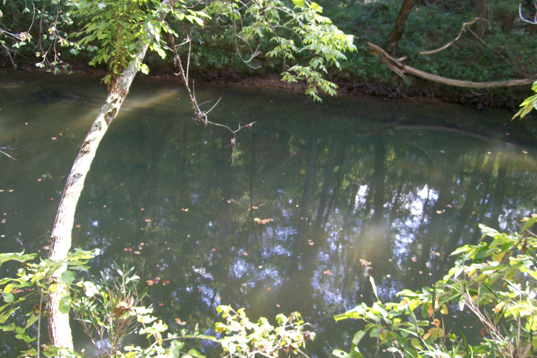 0 Laurelburg Road Rock Island, TN 38581 - Photo 5 of 13