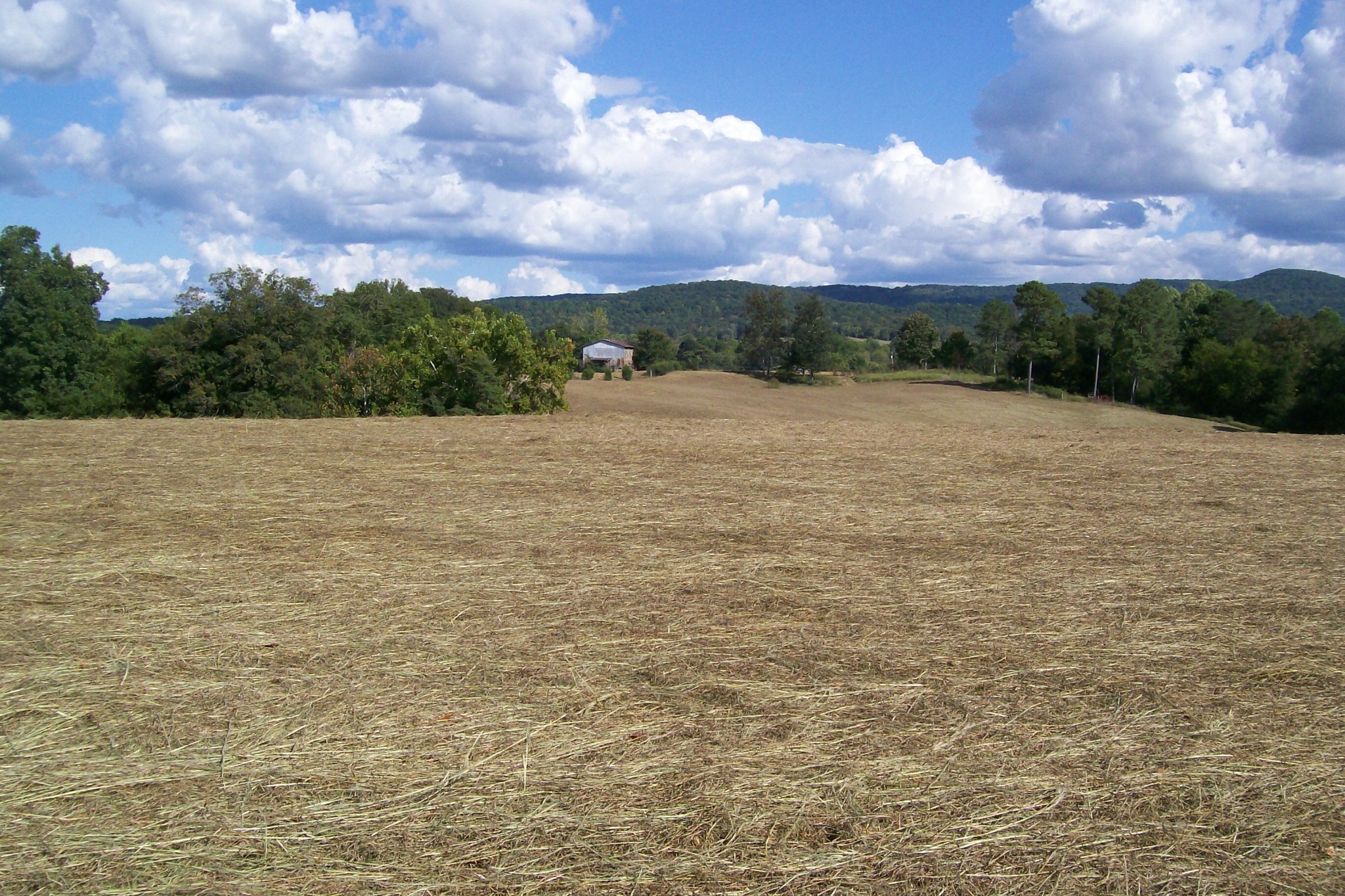 0 Laurelburg Road Rock Island, TN 38581 - Photo 9 of 13