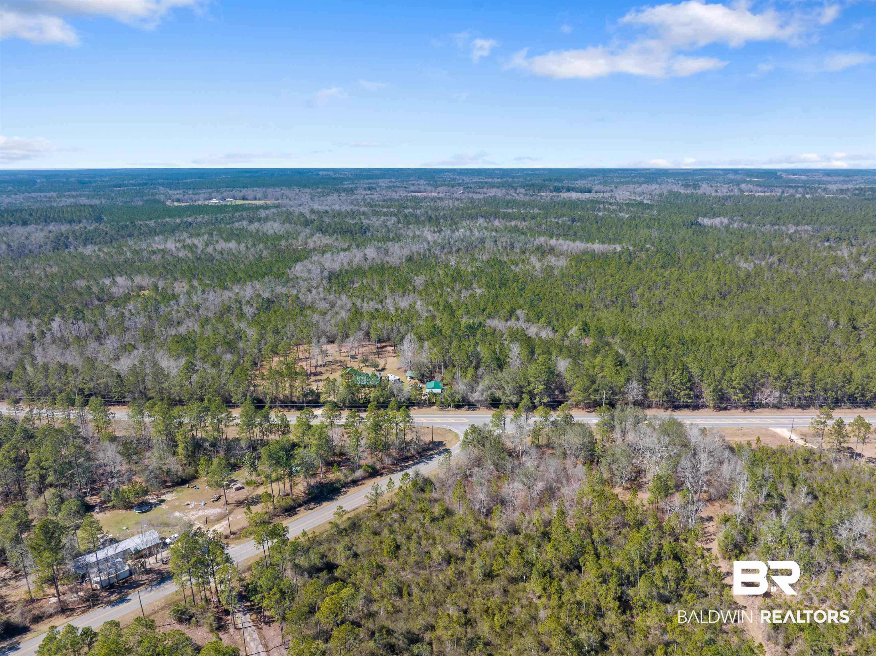 51699 Highway 31 Perdido, AL 36562 - Photo 30 of 30 Bird's eye view with a view of trees