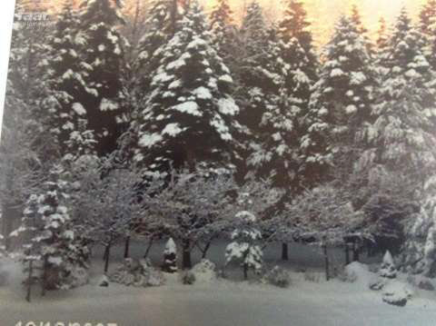 3350 North Nine Mile Road Pinconning, MI 48650 - Photo 17 of 39 20393124-16.JPG