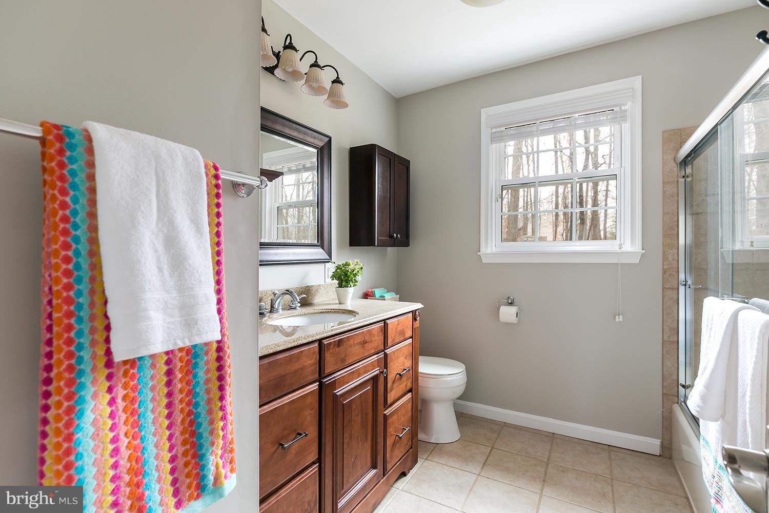 2425 Bramblebush Court Reston, VA 20191 - Photo 22 of 30 a bathroom with a sink toilet and shower