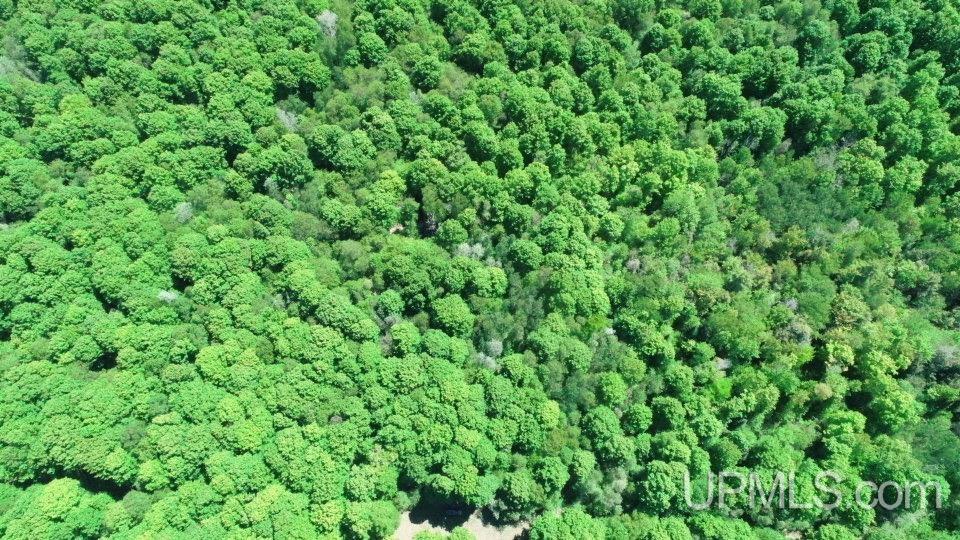 Tbd Tbd Osborn Dr Road McMillan, MI 49853 - Photo 17 of 18