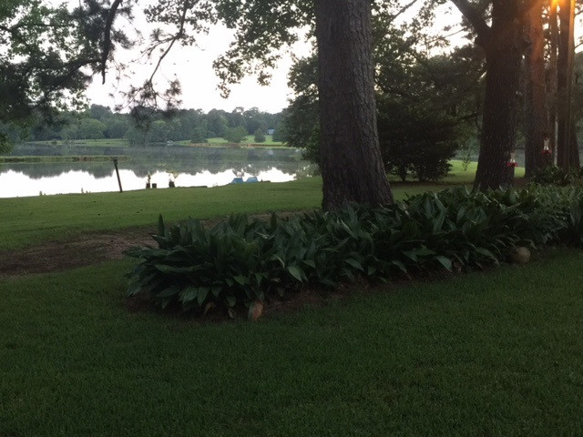 755 McCluer Road Jackson, MS 39212 - Photo 5 of 36 Photo 5