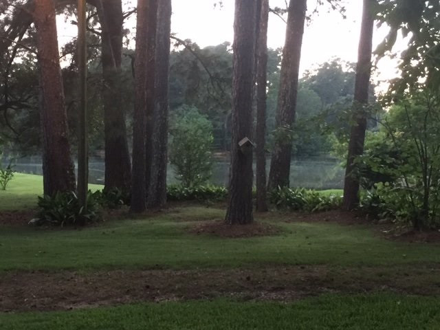 755 McCluer Road Jackson, MS 39212 - Photo 10 of 36 Photo 10