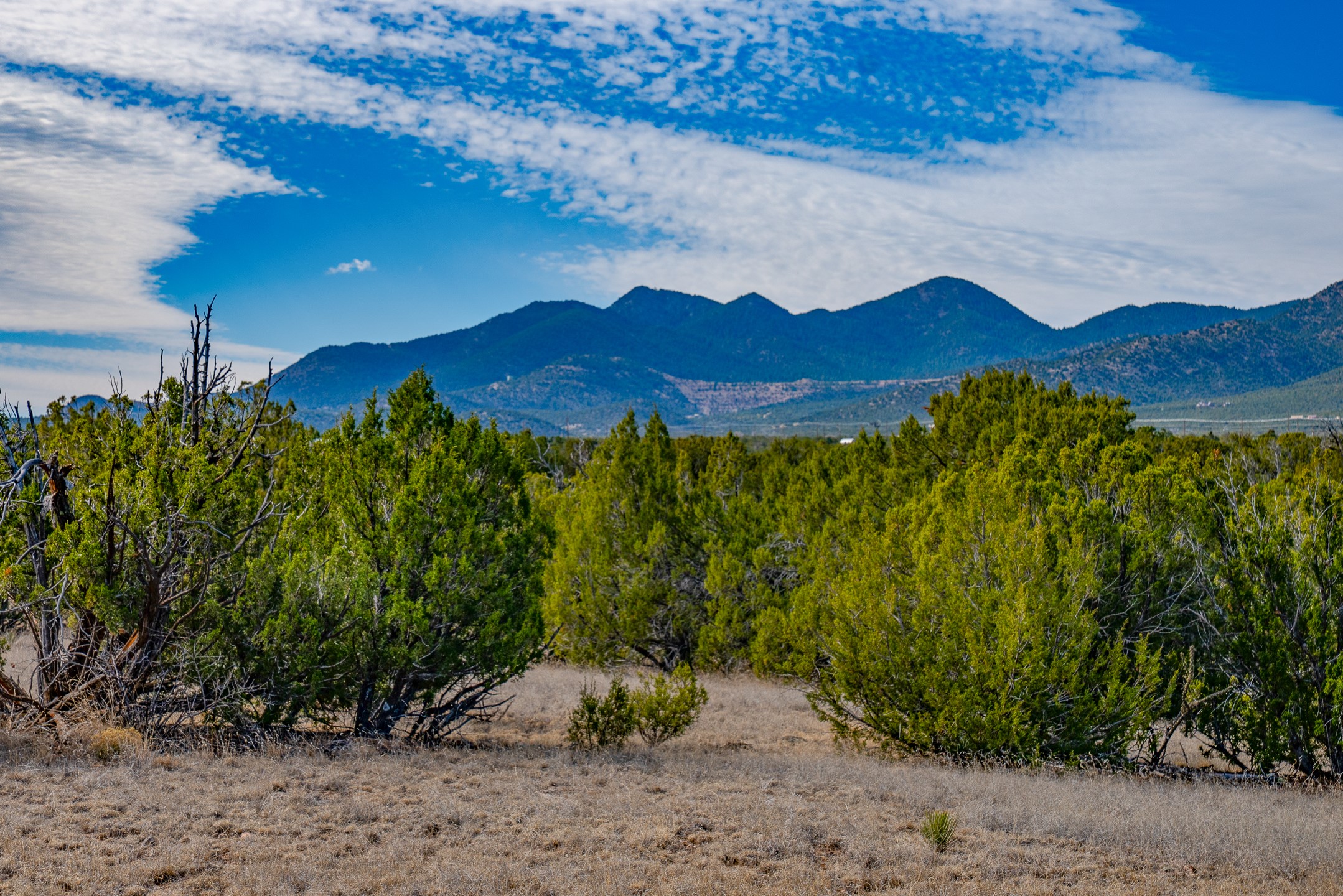 49-65 Blue Agave/grenfell Ranch Cerrillos, NM 87010 - Photo 15 of 36