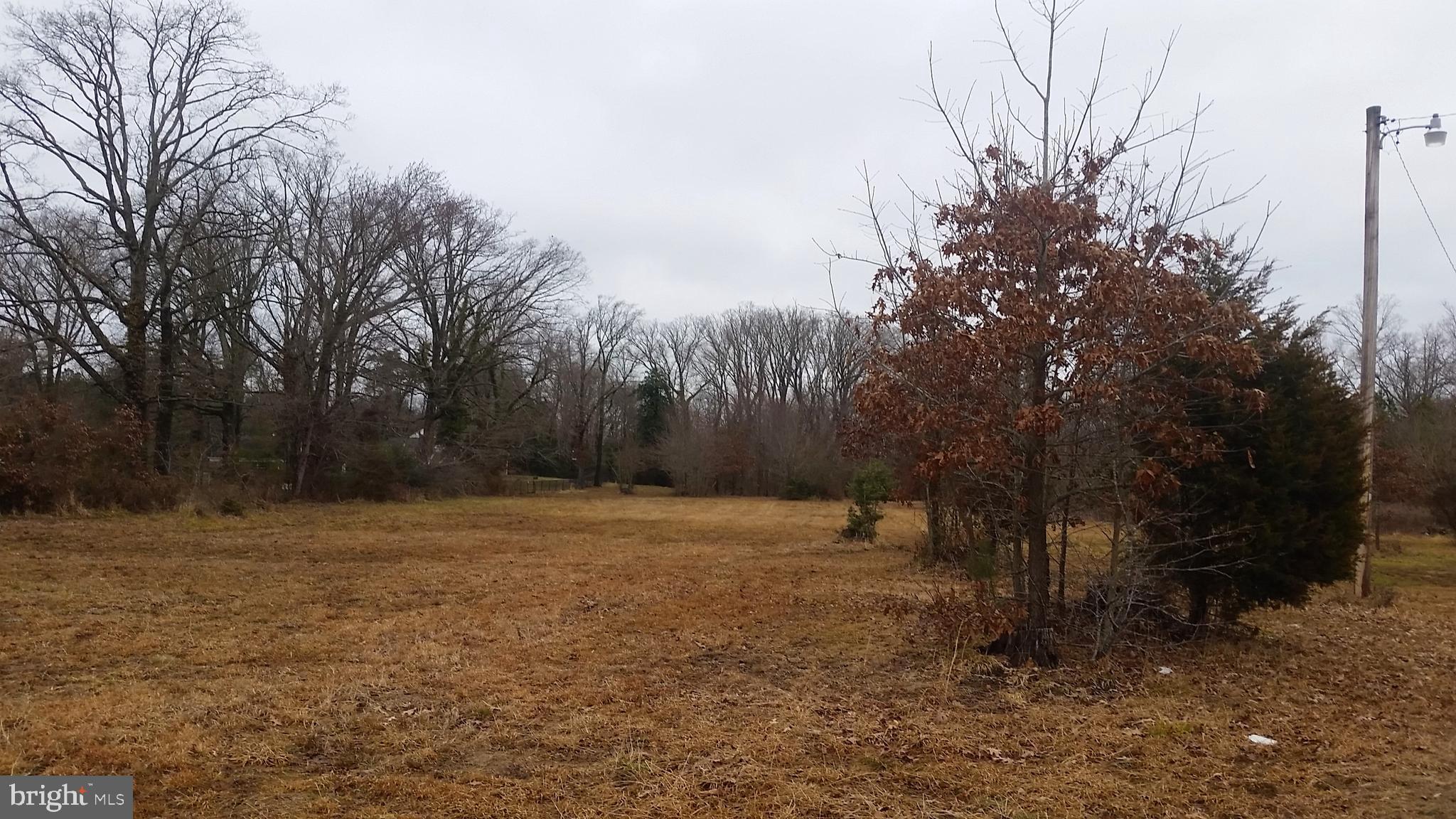 23140 Three Notch Road California, MD 20619 - Photo 8 of 9 Left side of property