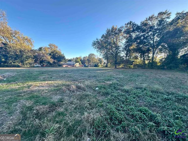 a view of a big yard with large trees