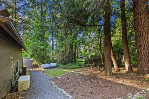 a view of a park with large trees