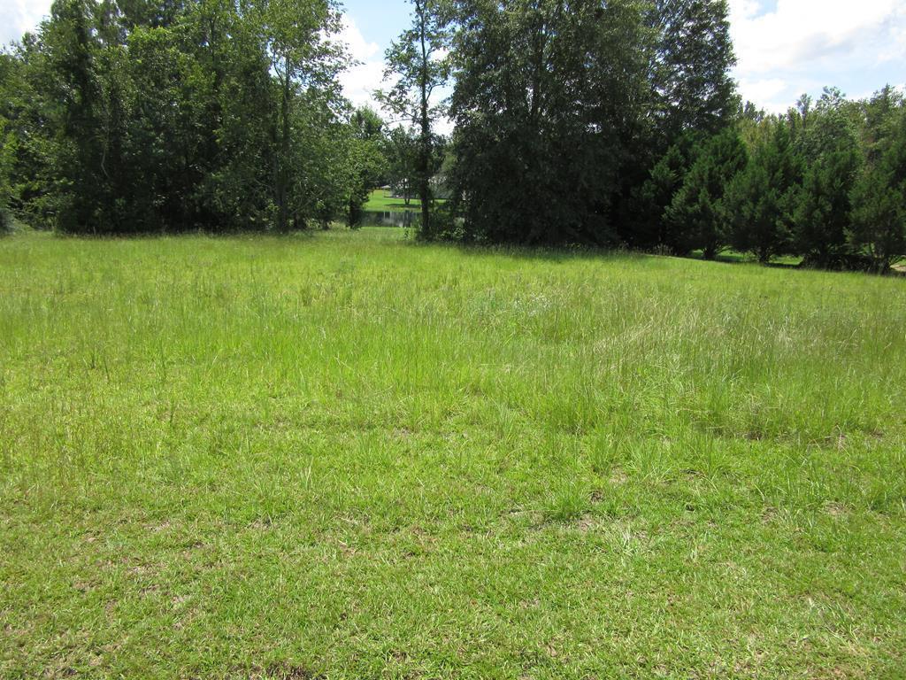 0 Prevatt Road Cowarts, AL 36321 - Photo 1 of 1