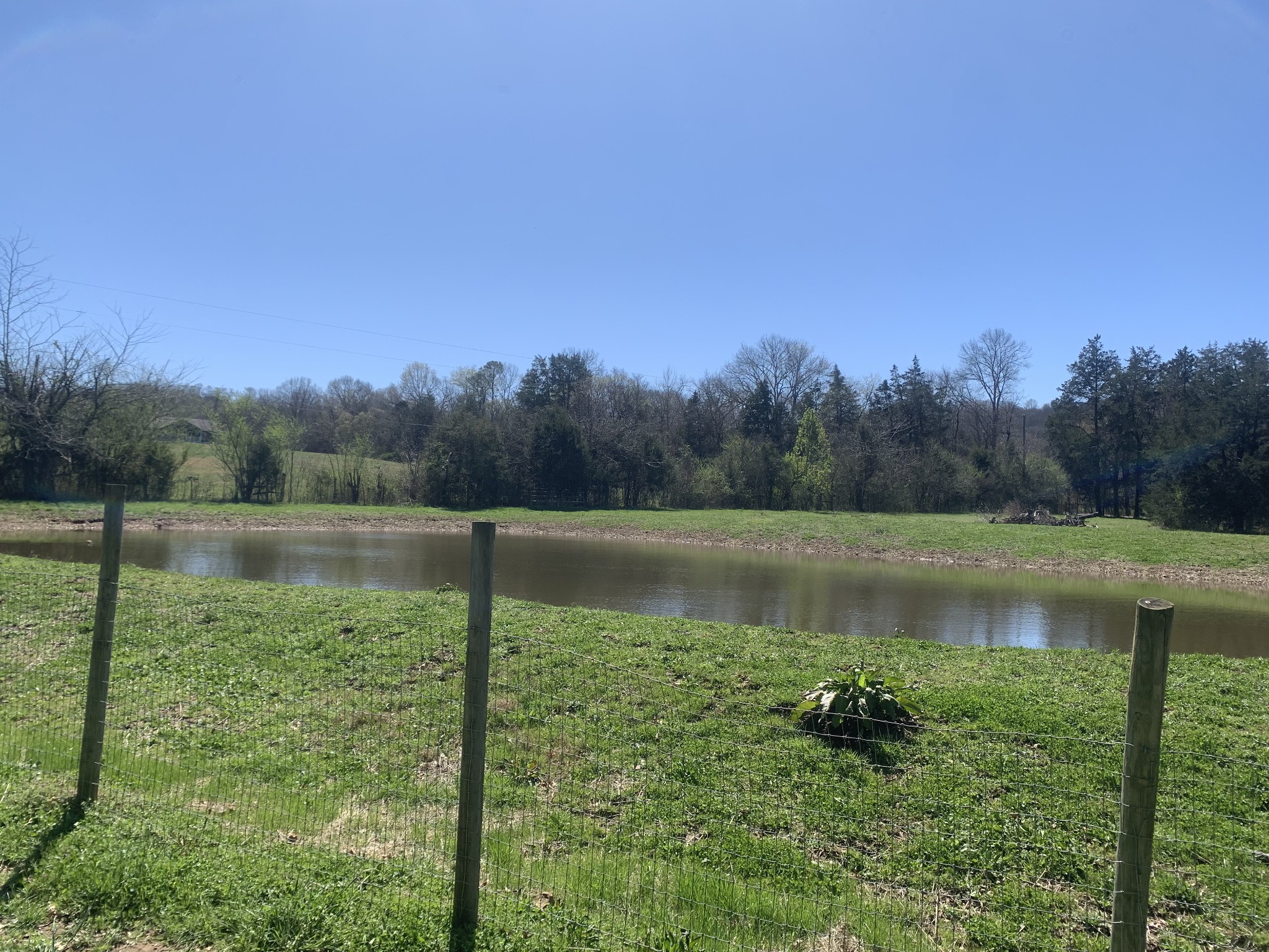 146 Cheatham Road Ardmore, TN 38449 - Photo 17 of 53 a view of a lake with a yard