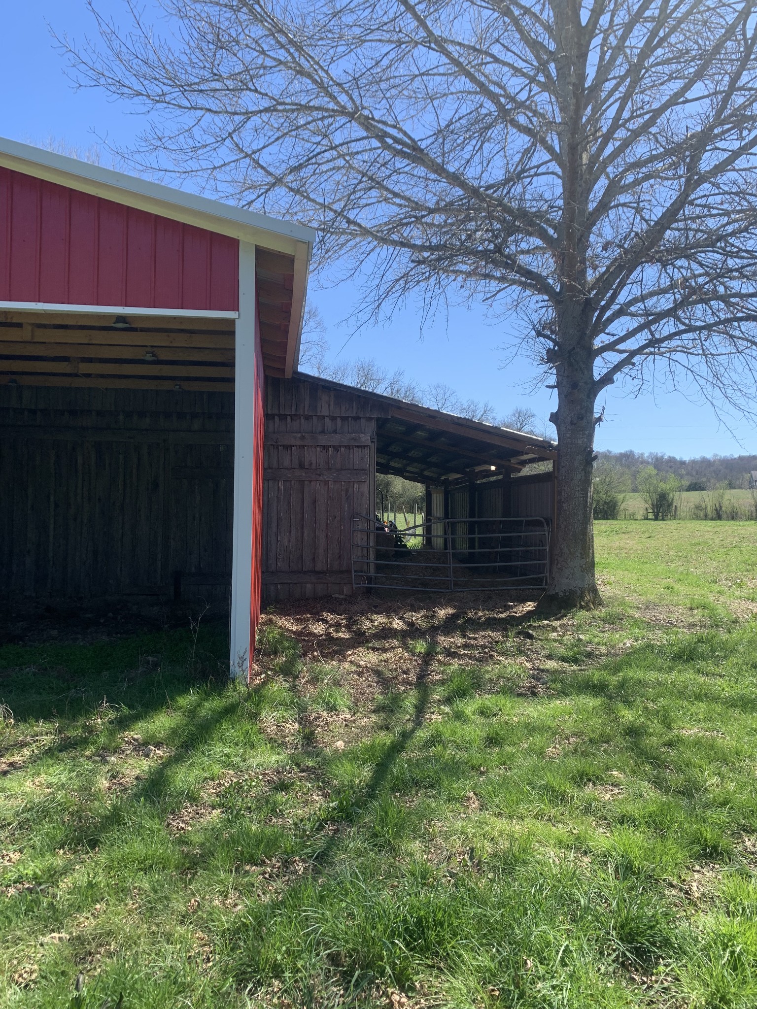 146 Cheatham Road Ardmore, TN 38449 - Photo 25 of 53 a view of a house with a yard and tree