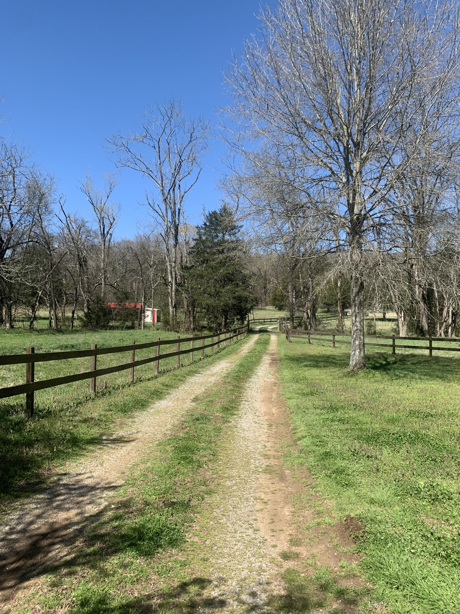 146 Cheatham Road Ardmore, TN 38449 - Photo 26 of 53