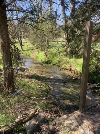 a front view of house with yard and mountain in the background