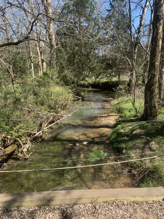 a view of outdoor space with garden and trees