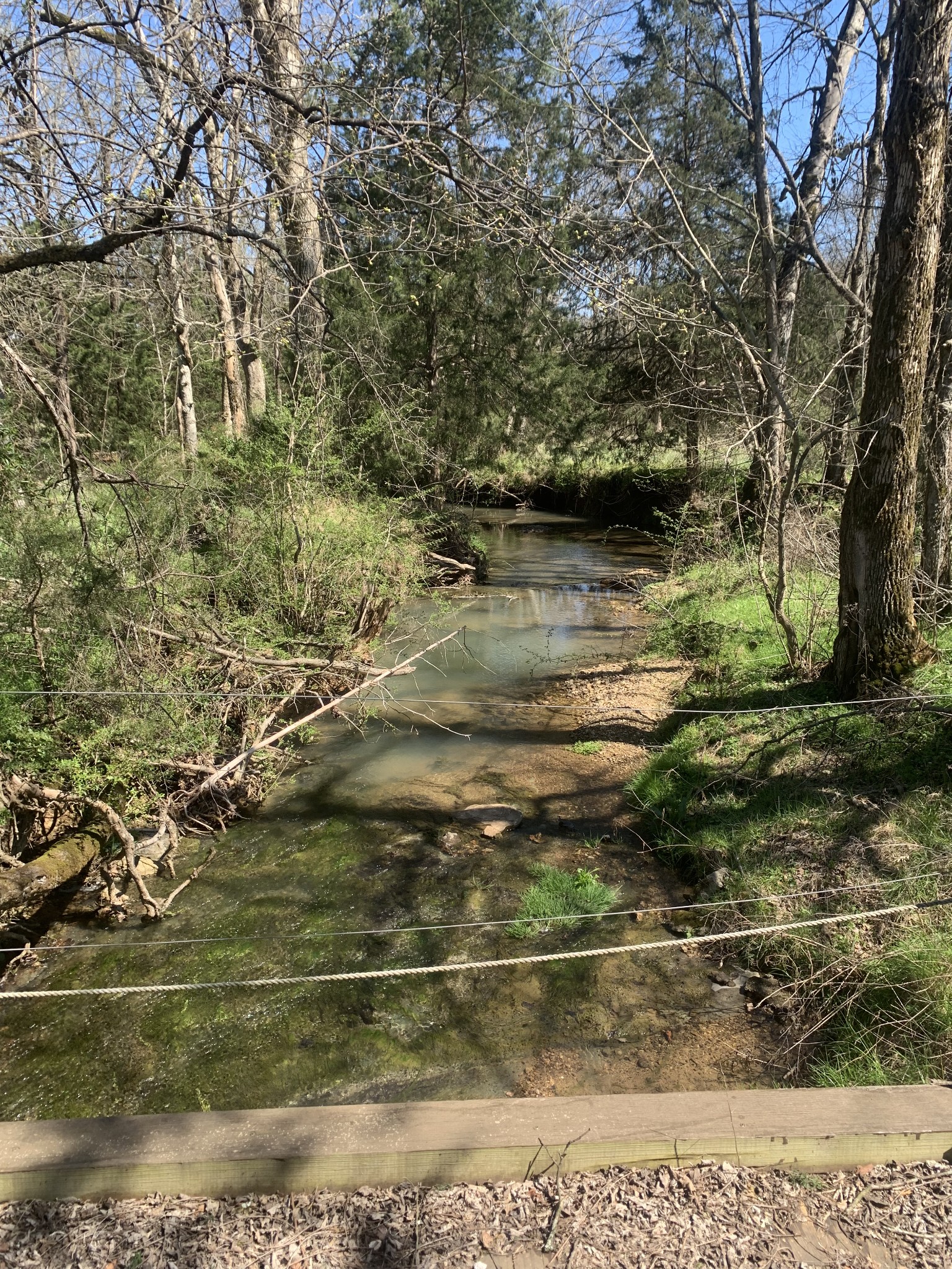 146 Cheatham Road Ardmore, TN 38449 - Photo 30 of 53