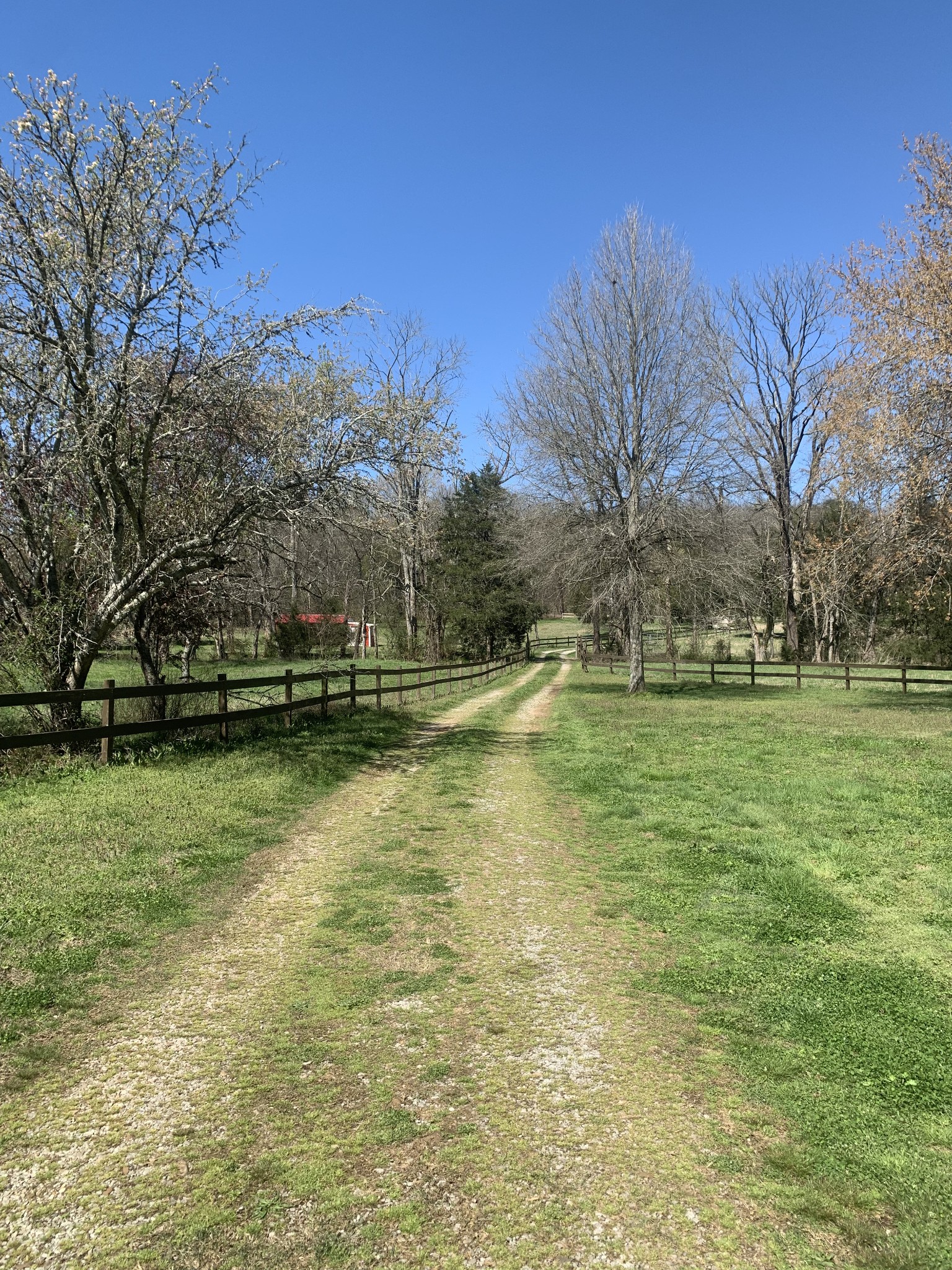 146 Cheatham Road Ardmore, TN 38449 - Photo 3 of 53