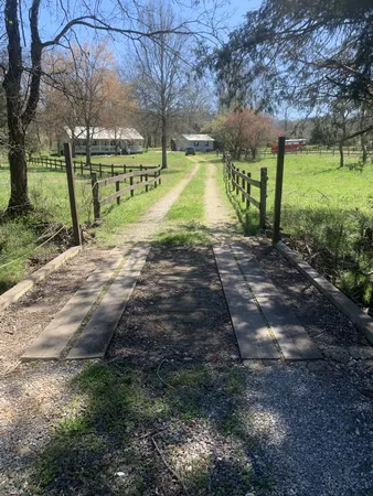 a view of a park with large trees