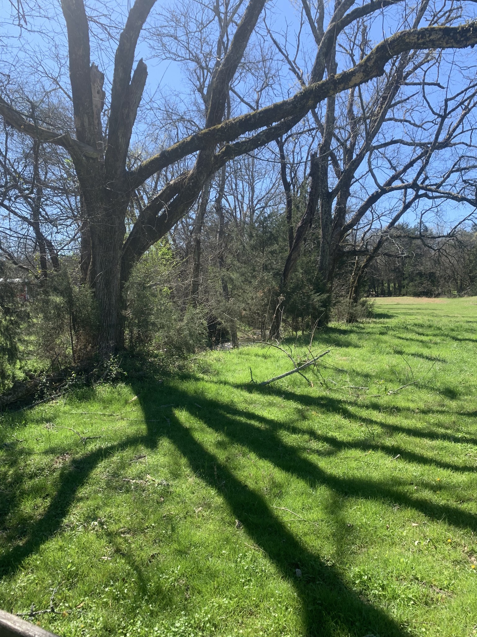 146 Cheatham Road Ardmore, TN 38449 - Photo 34 of 53 a backyard of a house with a yard and outdoor seating